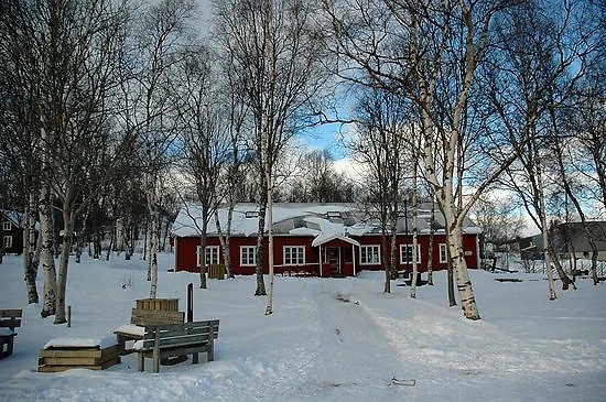Snødekt landskap med trær og røde bygninger, muligens fra Fauske.