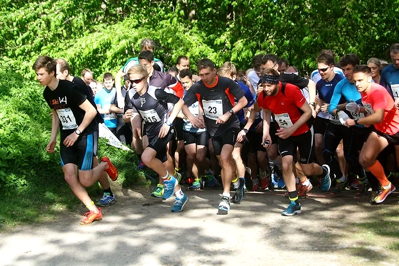 Runners in the starting area during a race in the forest.