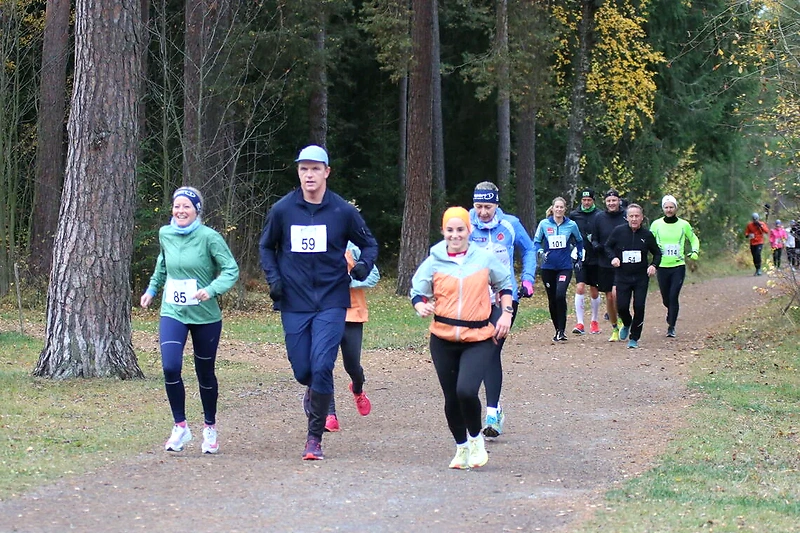 Løpere på sti i skogen med startnummer på brystet.