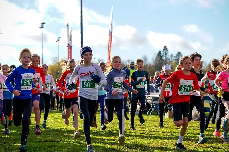 Children are running in a cross-country race on grass.