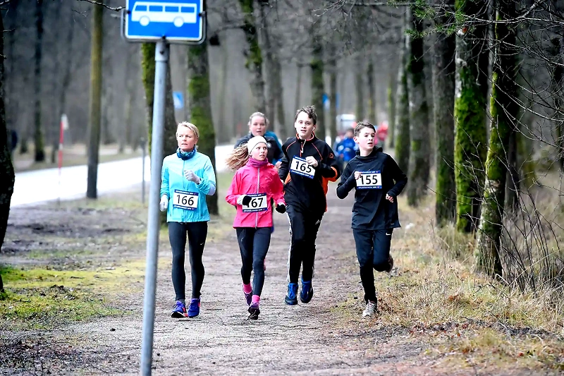 Løpere som deltar i et løp i et skogsmiljø.