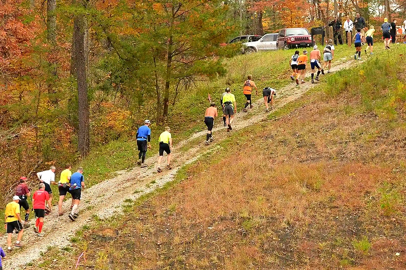 Løpere på sti. Skog og terreng. Løpekonkurranse.