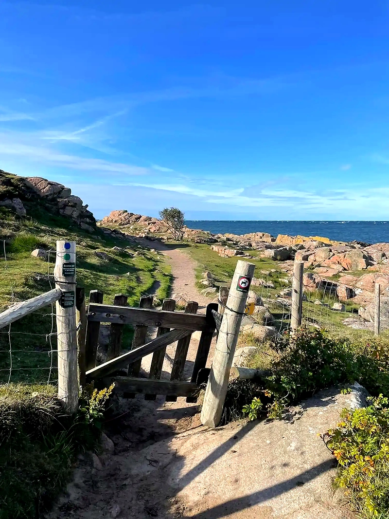 Coastal path with stones, fence, and sea. Sunny day with blue sky.