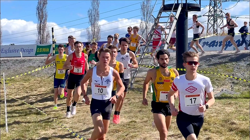 Runners in cross-country running with race numbers.