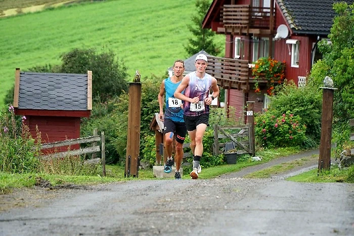 Runners in cross country. Houses and landscape in the background.