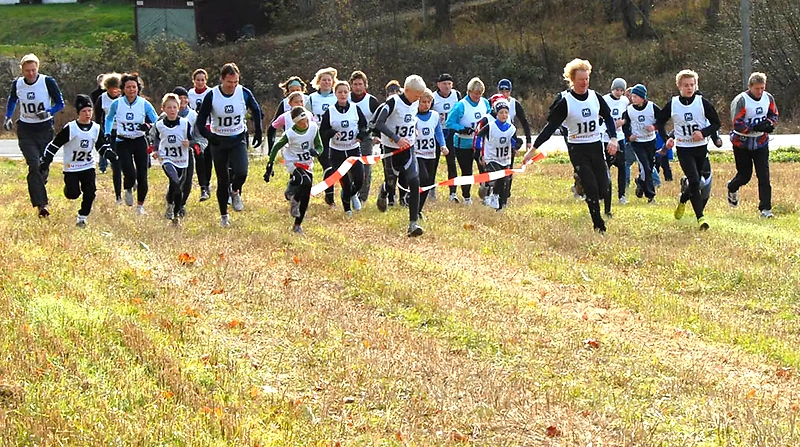 Runners in cross country, crossing a finish line. Several participants with bib numbers on their chests.