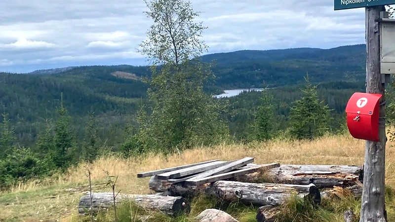 View from the Nipkollen Challenge trail, terrain with trees, a lake, and a red mailbox.