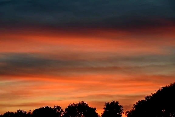 Solnedgang over trær. Vakre farger i himmelen.