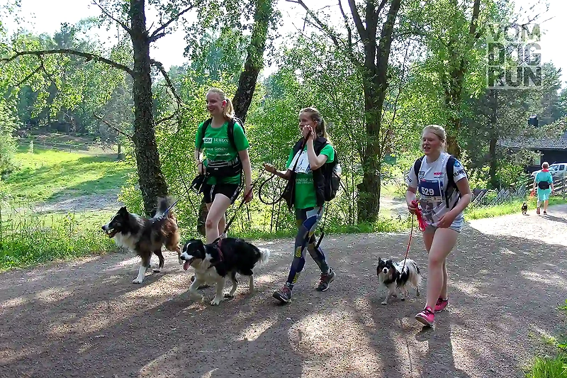 People running with dogs on a trail in the woods, Vom Dogrun.