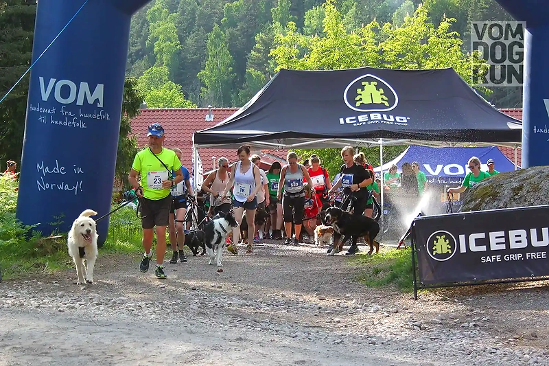 Vom Dogrun runs with dogs. People and dogs run together.
