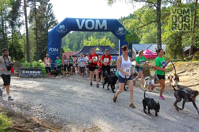 Dog racing with participants and dogs at the start.