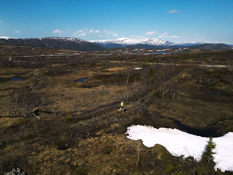 Running in mountainous terrain during the Steinfjell Relay.