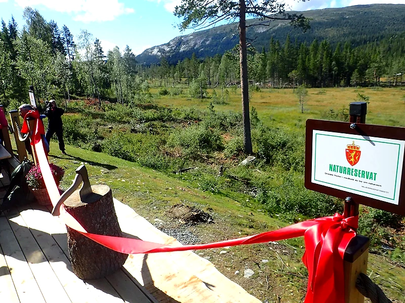 Ribbon cutting in a nature reserve, possibly related to a race.
