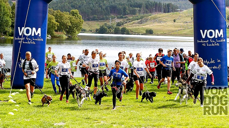 Folk som løper med hunder i et løp.