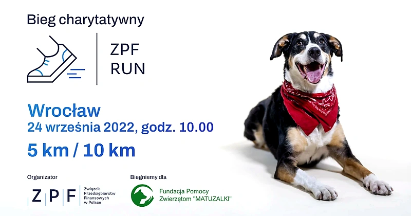Plakat biegu charytatywnego ZPF RUN we Wrocławiu z psem.