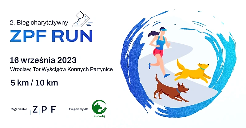 Plakat reklamowy biegu charytatywnego ZPF Run, z biegaczką i psami.