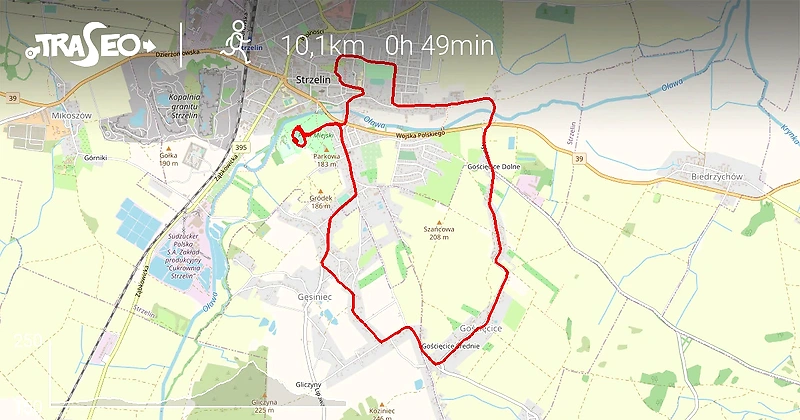 Mapa trasy biegu w Strzelinie.