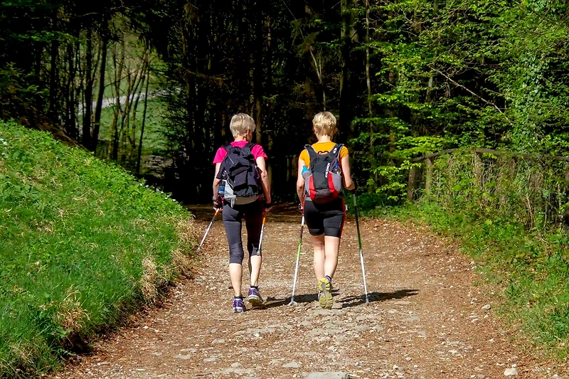 Dwie osoby z kijkami do nordic walking na leśnej ścieżce.