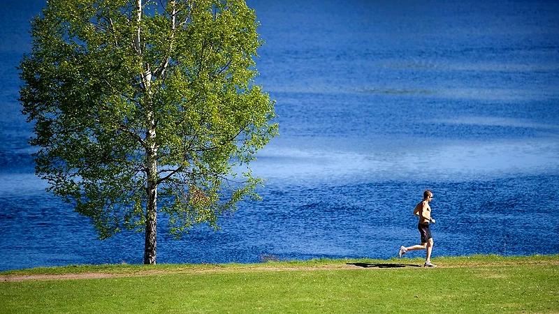 Löpare springer vid vattnet. Solig dag.