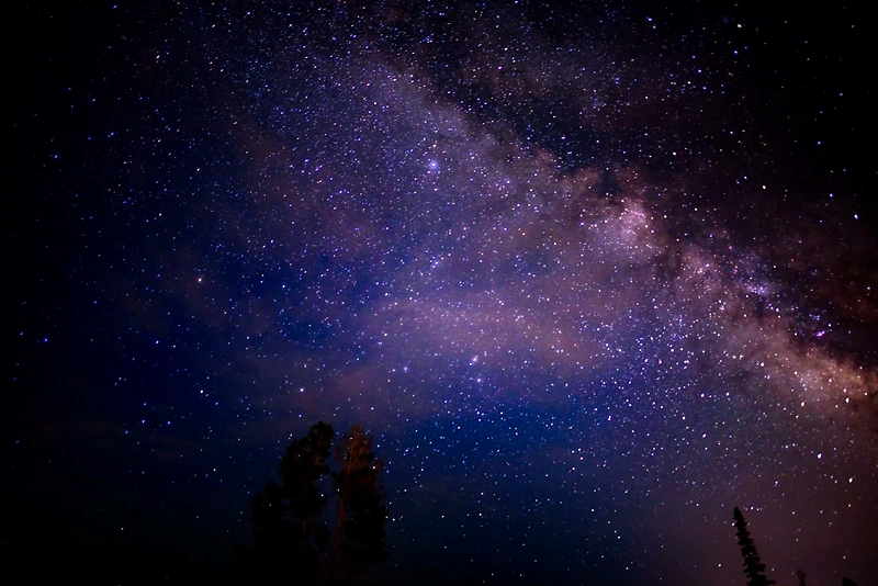 Night sky with stars. Perfect for the Avesta Night Sky Run.