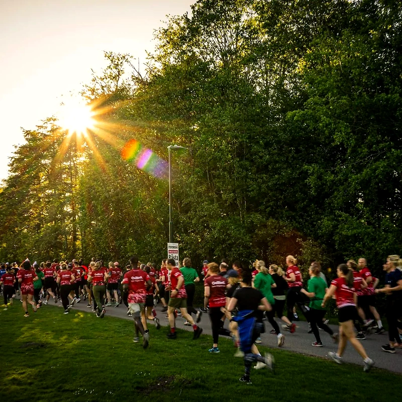 Löpare i Blodomloppet Göteborg, löpandes i en park med solljus.