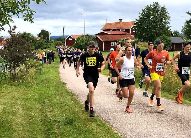 Löpare i Fäbodlunken-loppet. Deltagare springer på en väg med nummerlappar.