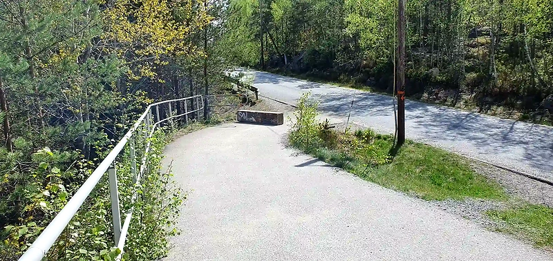 Paved walking path in the forest.