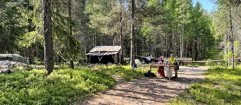 Forest environment with tables and markings, probably from a trail race.