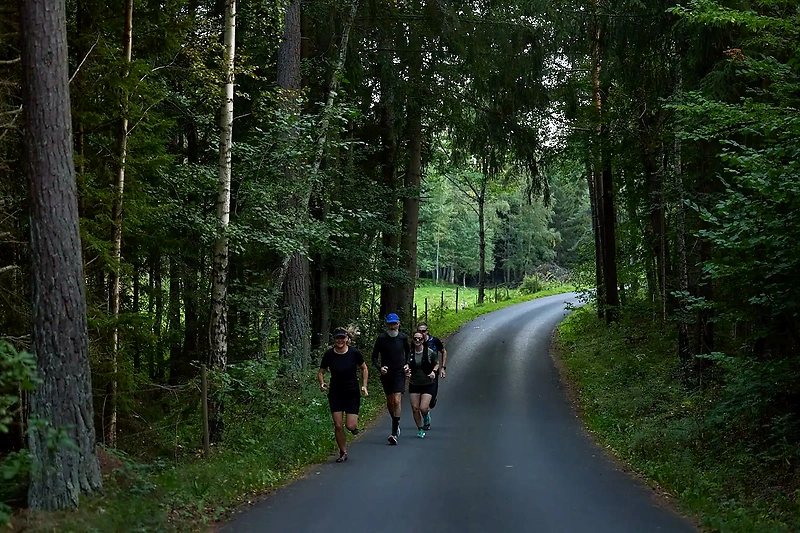 Löpare på asfalterad väg genom skogen.