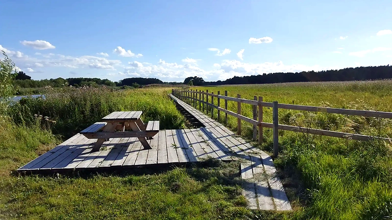 Bild på en träpromenad och picknickbord i en vacker naturmiljö.