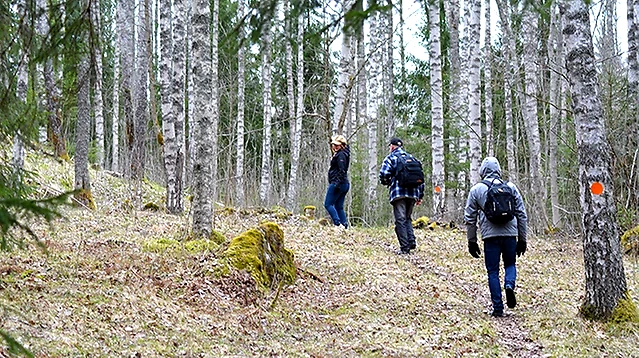 Löpare i skogsmiljö med orange markeringar på träd.