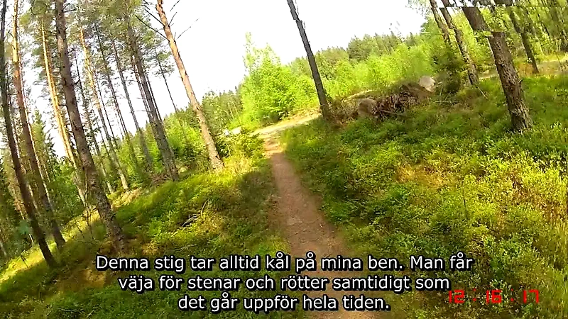 Skogsstig med rötter och stenar, perfekt för terränglöpning i Hällefors.