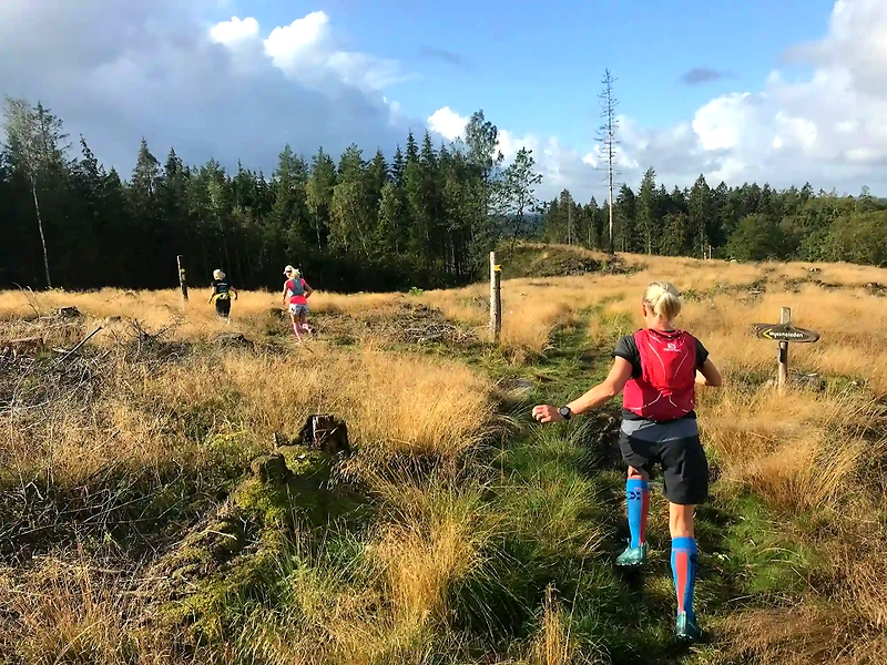 Löpare på terrängbana, Hyssnaloppet.