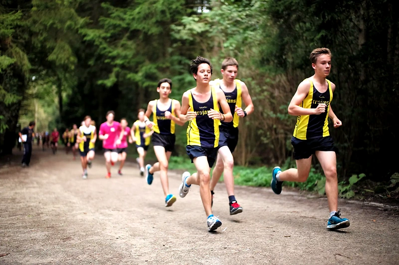 Runners are running in the forest during a race.