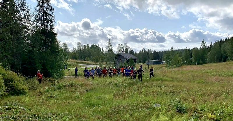 Bild till Mattila Trail Run