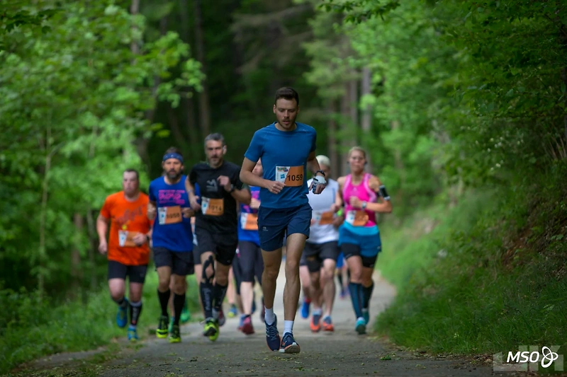 Löpare på en stig genom skogen. Flera personer springer i samma riktning.