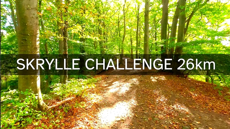 Skrylle Challenge-bana: Skogsstig i Skrylle.