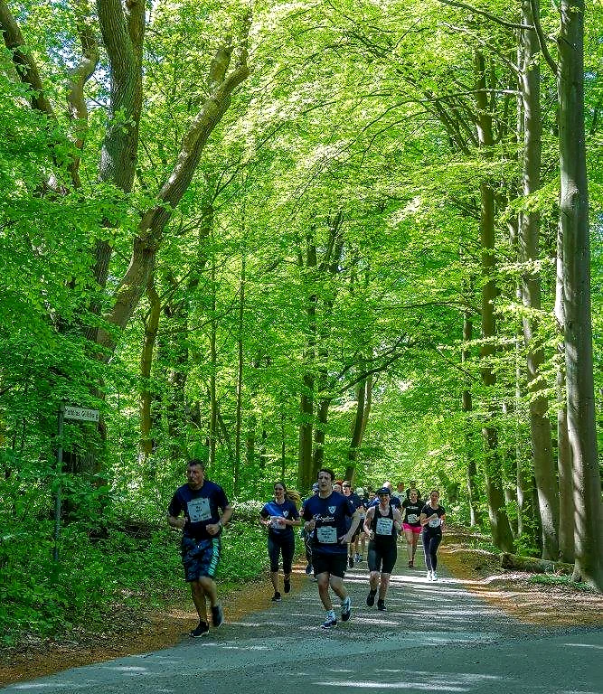 Löpare på en grön väg omgiven av träd under en vårlopp.