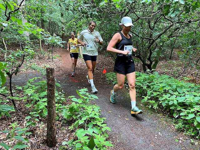 Tre löpare på en stig i skogen under en trailtävling.