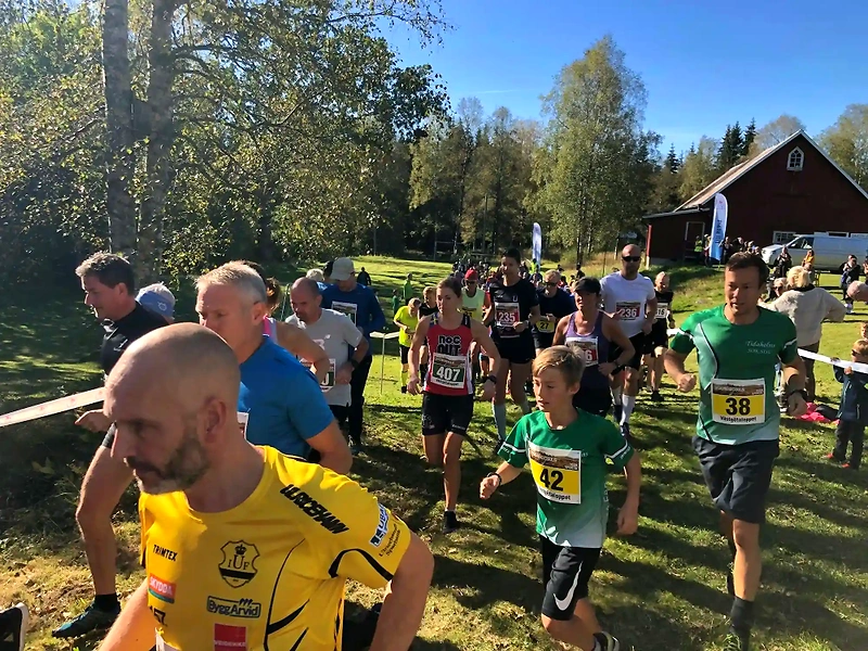 Löpare på Västgötaloppet Trail. Flera deltagare springer i en skogsmiljö.