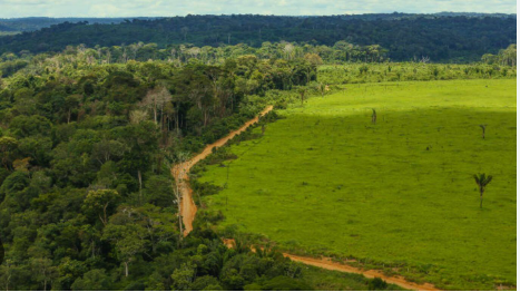 "Revolução no Agro: Impacto da Regularização Ambiental e Geolocalização no Mercado de Terras Rurais"