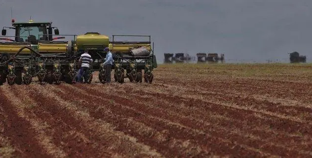 Algodão no Brasil 2025/2026: plantio chega a 97,4% e safra histórica de 2024/25 impulsiona exportações
