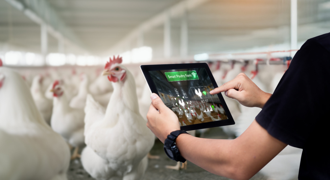 Agronegócio em Santa Catarina: segundo maior exportador de proteína animal impulsiona a produção agropecuária