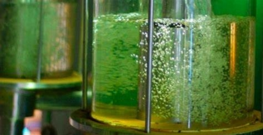 Etanol no Brasil deve alcançar produção recorde em 2026/2027, com quase 4 bilhões de litros a mais