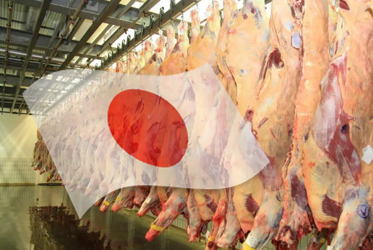 Brasil mira abrir mercado de carne bovina no Japão após auditoria sanitária e reconhecimento de zonas livres de aftosa
