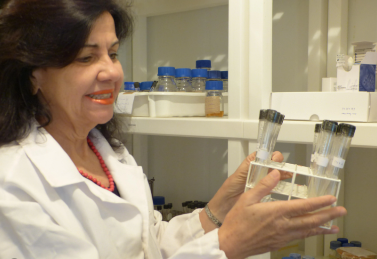 Mariangela Hungria, da Embrapa Soja, entra no Time 100 (2026): fixação biológica de nitrogênio na soja brasileira e economia de US$ 25 bilhões/ano