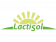 Sollus Lactisol Nucleus