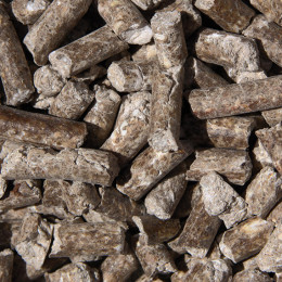 Tapioca Pellet