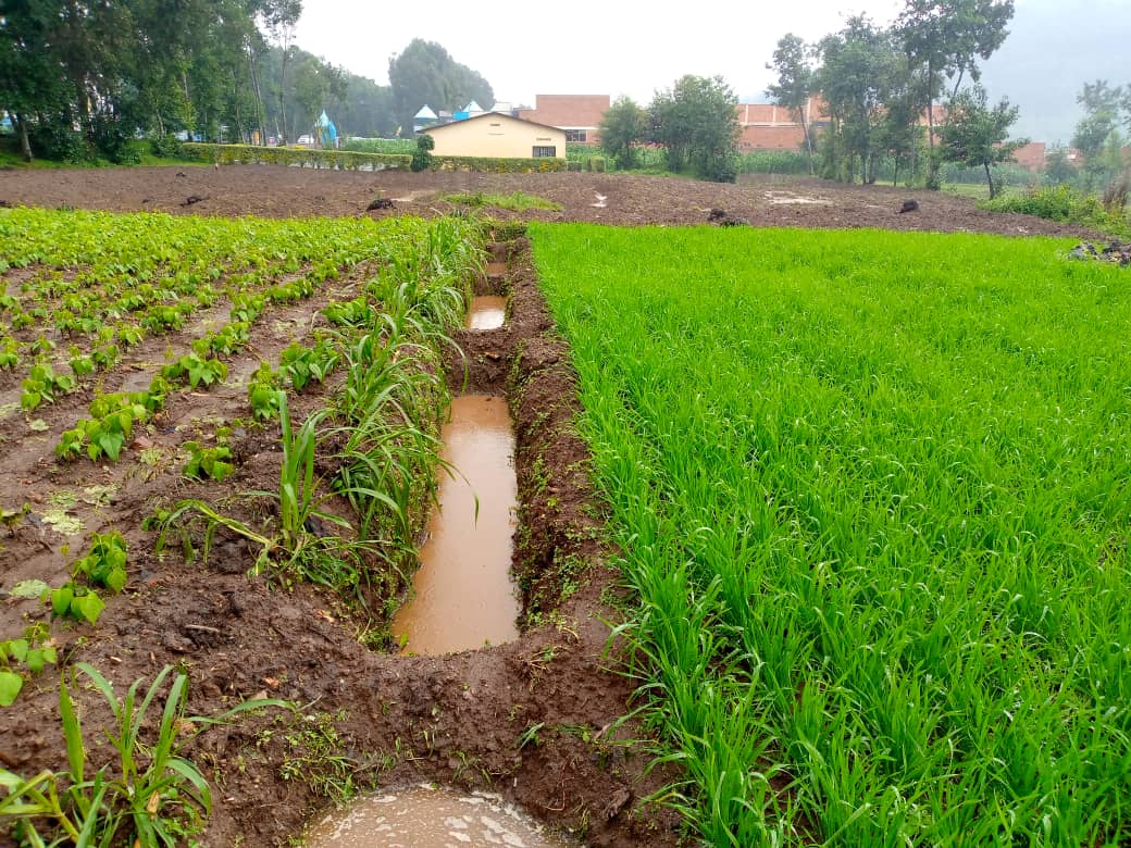 Climate Smart Agriculture