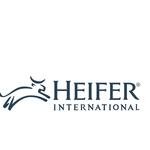 Heifer international